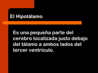 Es una pequeña parte del
cerebro localizada justo debajo
del tálamo a ambos lados del
tercer ventrículo.
El Hipotálamo
 