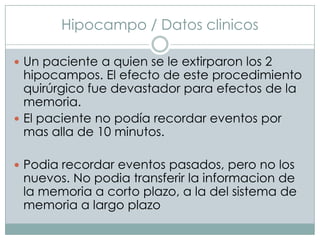 Hipocampo / Datos clinicos
 Un paciente a quien se le extirparon los 2

hipocampos. El efecto de este procedimiento
quirúrgico fue devastador para efectos de la
memoria.
 El paciente no podía recordar eventos por
mas alla de 10 minutos.
 Podia recordar eventos pasados, pero no los

nuevos. No podia transferir la informacion de
la memoria a corto plazo, a la del sistema de
memoria a largo plazo

 
