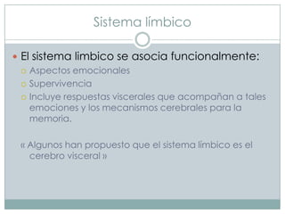 Sistema límbico
 El sistema limbico se asocia funcionalmente:
 Aspectos emocionales
 Supervivencia
 Incluye respuestas viscerales que acompañan a tales
emociones y los mecanismos cerebrales para la
memoria.
« Algunos han propuesto que el sistema límbico es el
cerebro visceral »

 