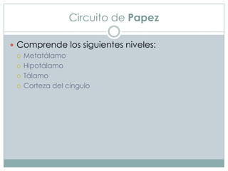 Circuito de Papez
 Comprende los siguientes niveles:
 Metatálamo
 Hipotálamo
 Tálamo
 Corteza del cíngulo

 