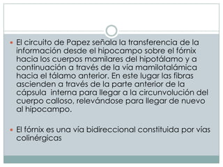  El circuito de Papez señala la transferencia de la

información desde el hipocampo sobre el fórnix
hacia los cuerpos mamilares del hipotálamo y a
continuación a través de la vía mamilotalámica
hacia el tálamo anterior. En este lugar las fibras
ascienden a través de la parte anterior de la
cápsula interna para llegar a la circunvolución del
cuerpo calloso, relevándose para llegar de nuevo
al hipocampo.

 El fórnix es una vía bidireccional constituida por vías

colinérgicas

 