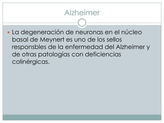 Alzheimer
 La degeneración de neuronas en el núcleo

basal de Meynert es uno de los sellos
responsbles de la enfermedad del Alzheimer y
de otras patologías con deficiencias
colinérgicas.

 