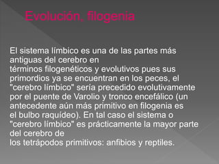 El sistema límbico es una de las partes más
antiguas del cerebro en
términos filogenéticos y evolutivos pues sus
primordios ya se encuentran en los peces, el
"cerebro límbico" sería precedido evolutivamente
por el puente de Varolio y tronco encefálico (un
antecedente aún más primitivo en filogenia es
el bulbo raquídeo). En tal caso el sistema o
"cerebro límbico" es prácticamente la mayor parte
del cerebro de
los tetrápodos primitivos: anfibios y reptiles.
 