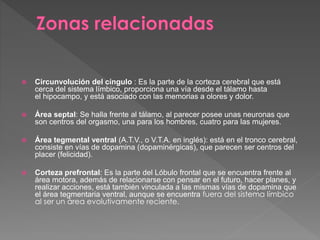  Circunvolución del cíngulo : Es la parte de la corteza cerebral que está
cerca del sistema límbico, proporciona una vía desde el tálamo hasta
el hipocampo, y está asociado con las memorias a olores y dolor.
 Área septal: Se halla frente al tálamo, al parecer posee unas neuronas que
son centros del orgasmo, una para los hombres, cuatro para las mujeres.
 Área tegmental ventral (A.T.V., o V.T.A. en inglés): está en el tronco cerebral,
consiste en vías de dopamina (dopaminérgicas), que parecen ser centros del
placer (felicidad).
 Corteza prefrontal: Es la parte del Lóbulo frontal que se encuentra frente al
área motora, además de relacionarse con pensar en el futuro, hacer planes, y
realizar acciones, está también vinculada a las mismas vías de dopamina que
el área tegmentaria ventral, aunque se encuentra fuera del sistema límbico
al ser un área evolutivamente reciente.
 
