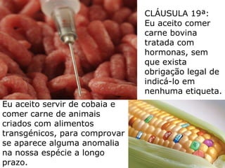 Eu aceito servir de cobaia e comer carne de animais criados com alimentos transgénicos, para comprovar se aparece alguma anomalia na nossa espécie a longo prazo. CLÁUSULA 19ª:  Eu aceito comer carne bovina tratada com hormonas, sem que exista obrigação legal de indicá-lo em nenhuma etiqueta.  