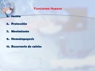 Funciones Huesos Sostén Protección Movimiento Hematopoyesis Reservorio de calcio: 