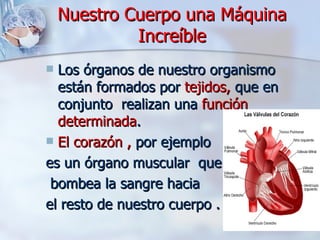Nuestro Cuerpo una Máquina Increíble Los órganos de nuestro organismo están formados por  tejidos,  que en conjunto  realizan una  función determinada . El corazón ,  por ejemplo  es un órgano muscular  que bombea la sangre hacia  el resto de nuestro cuerpo . 