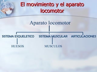 El movimiento y el aparato locomotor Aparato locomotor SISTEMA MUSCULAR HUESOS SISTEMA ESQUELETICO ARTICULACIONES MUSCULOS 