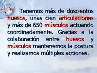 Tenemos más de doscientos  huesos , unas cien  articulaciones  y más de 650  músculos  actuando coordinadamente. Gracias a la colaboración entre  huesos  y  músculos  mantenemos la postura y realizamos múltiples acciones. 