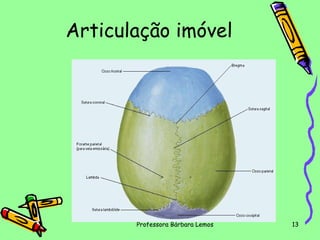 Articulação imóvel

Professora Bárbara Lemos

13

 