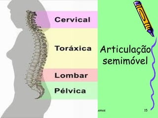 Articulação
semimóvel

Professora Bárbara Lemos

15

 