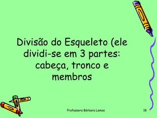 Divisão do Esqueleto (ele
dividi-se em 3 partes:
cabeça, tronco e
membros

Professora Bárbara Lemos

18

 