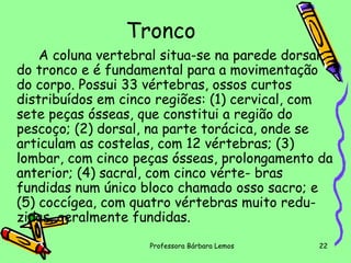 Tronco
A coluna vertebral situa-se na parede dorsal
do tronco e é fundamental para a movimentação
do corpo. Possui 33 vértebras, ossos curtos
distribuídos em cinco regiões: (1) cervical, com
sete peças ósseas, que constitui a região do
pescoço; (2) dorsal, na parte torácica, onde se
articulam as costelas, com 12 vértebras; (3)
lombar, com cinco peças ósseas, prolongamento da
anterior; (4) sacral, com cinco vérte- bras
fundidas num único bloco chamado osso sacro; e
(5) coccígea, com quatro vértebras muito reduzidas, geralmente fundidas.
Professora Bárbara Lemos

22

 