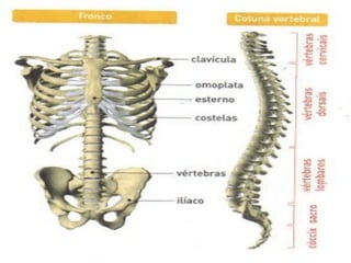 Professora Bárbara Lemos

23

 