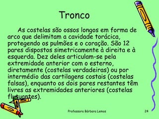 Tronco
As costelas são ossos longos em forma de
arco que delimitam a cavidade torácica,
protegendo os pulmões e o coração. São 12
pares dispostos simetricamente à direita e à
esquerda. Dez deles articulam-se pela
extremidade anterior com o esterno,
diretamente (costelas verdadeiras) ou por
intermédio das cartilagens costais (costelas
falsas), enquanto os dois pares restantes têm
livres as extremidades anteriores (costelas
flutuantes).
Professora Bárbara Lemos

24

 