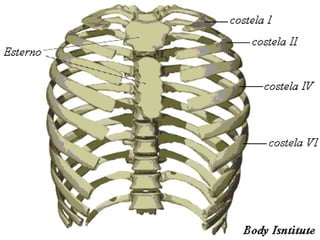 Professora Bárbara Lemos

25

 