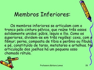 Membros Inferiores:
Os membros inferiores se articulam com o
tronco pela cintura pélvica, que reúne três ossos
solidamente unidos: púbis, ísquio e ílio. Como os
superiores, dividem-se em três regiões: coxa, com o
fêmur; perna, composta de tíbia e perônio ou fíbula;
e pé, constituído de tarso, metatarso e artelhos. Na
articulação dos joelhos há um pequeno osso
chamado rótula.
Professora Bárbara Lemos

28

 