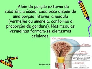 Além da porção externa de
substância óssea, cada osso dispõe de
uma porção interna, a medula
(vermelha ou amarela, conforme a
proporção de gordura). Nas medulas
vermelhas formam-se elementos
celulares.

Professora Bárbara Lemos

7

 