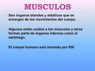 MUSCULOS
   Son órganos blandos y elásticos que se
    encargan de los movimientos del cuerpo.

   Algunos están unidos a los músculos y otros
    forman parte de órganos internos como el
    estómago.

   El cuerpo humano esta formado por 650
 