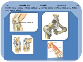 As
articulações
móveis
aparecem
na
mandíbula, pescoço, ombros, cotovelos, punhos, coxas, joelhos, mãos, pés, dedos e
muitos outros lugares.

 