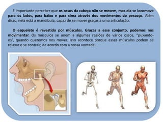É importante perceber que os ossos da cabeça não se mexem, mas ela se locomove
para os lados, para baixo e para cima através dos movimentos do pescoço. Além
disso, nela está a mandíbula, capaz de se mover graças a uma articulação.

O esqueleto é revestido por músculos. Graças a esse conjunto, podemos nos
movimentar. Os músculos se unem a algumas regiões de vários ossos, “puxandoos”, quando queremos nos mover. Isso acontece porque esses músculos podem se
relaxar e se contrair, de acordo com a nossa vontade.

 