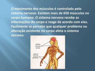 O movimento dos músculos é controlado pelo
sistema nervoso. Existem mais de 650 músculos no
corpo humano. O sistema nervoso recebe as
informações do corpo e reage de acordo com elas.
Facilmente se percebe que qualquer problema ou
alteração existente no corpo afeta o sistema
nervoso.

 