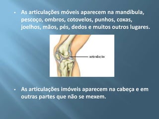 

As articulações móveis aparecem na mandíbula,
pescoço, ombros, cotovelos, punhos, coxas,
joelhos, mãos, pés, dedos e muitos outros lugares.



As articulações imóveis aparecem na cabeça e em
outras partes que não se mexem.

 