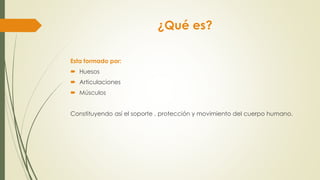 ¿Qué es?
Esta formado por:
 Huesos
 Articulaciones
 Músculos
Constituyendo así el soporte , protección y movimiento del cuerpo humano.
 