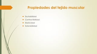 Propiedades del tejido muscular
 Excitabilidad
 Contractibilidad
 Elasticidad
 Extensibilidad
 