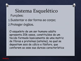 Sistema Esquelético

Funções:
1.Sustentar e dar forma ao corpo;
2.Proteger órgãos.

O esqueleto de um ser humano adulto
apresenta 206 ossos, constituídos de um
tecido formado basicamente de uma matriz
de fibras e proteínas (osteína), na qual se
depositam sais de cálcio e fósforo, que
conferem ao osso sua dureza característica.

Amaury

 