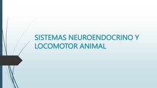 SISTEMAS NEUROENDOCRINO Y
LOCOMOTOR ANIMAL
 