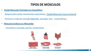 • Tecido Muscular Estriados ou Esquelético
- Responsáveis pelos movimentos voluntários; Tecido Muscular Liso ou Visceral
- Pertence à vida de nutrição (digestão, excreção, etc); involuntários;
• Músculo Cardíaco ou Miocárdio
-Vermelho e estriado, porém, involuntário.
10
TIPOS DE MÚSCULOS
 