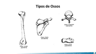 8
Tipos de Ossos
 