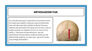 ARTICULACION FIJA
son articulaciones que no permiten el movimiento entre
los huesos que quedan unidos por esas articulaciones.
Esas articulaciones fijas tambien se llaman Suturas y
ademas solo participan los huesos que se unen, y que no
puede moverse uno respecto al otro su union es muy
solida y hace que cre esa estructura que tan
tipicamente sirve para llevar acaba la proteccion de
determinado organos ( en este caso que es el craneo
que protege al encefalo )
 