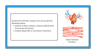 Se denomina estriado porque como ven se aprecian
diferentes estrias.
tambien se llama cardiaco porque evidentemente
forma parte del corazon
tambien dessarrolla un movimiento involuntario
 