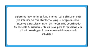 El sistema locomotor es fundamental para el movimiento
y la interacción con el entorno, ya que integra huesos,
músculos y articulaciones en un mecanismo coordinado.
Su correcto funcionamiento es clave para la movilidad y la
calidad de vida, por lo que es esencial mantenerlo
saludable.
 