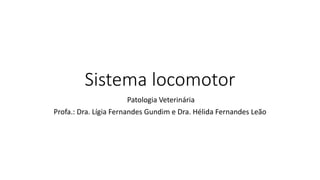 Sistema locomotor
Patologia Veterinária
Profa.: Dra. Lígia Fernandes Gundim e Dra. Hélida Fernandes Leão
 