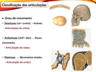  Grau de movimento
 Sinartroses (sin = juntos) → Imóveis.
- Articulações do crânio.
 Anfiartroses (anfi = dois) → Pouco
movimento.
- Articulações do carpo.
 Diartroses → Movimentos amplos.
- Articulação do ombro.
Classificação das articulações
 
