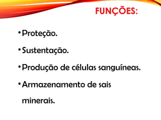 FUNÇÕES:
•Proteção.
•Sustentação.
•Produção de células sanguíneas.
•Armazenamento de sais
minerais.
 