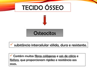  Contém muitas fibras colágenas e sais de cálcio e
fósforo, que proporcionam rigidez e resistência aos
ossos.
TECIDO ÓSSEO
 substância intercelular sólida, dura e resistente.
Osteocitos
 