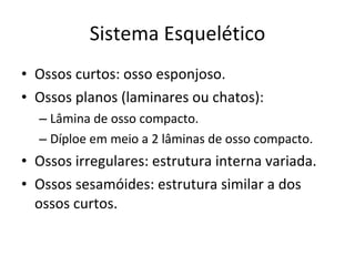 Sistema Esquelético Ossos curtos: osso esponjoso. Ossos planos (laminares ou chatos): Lâmina de osso compacto. Díploe em meio a 2 lâminas de osso compacto. Ossos irregulares: estrutura interna variada. Ossos sesamóides: estrutura similar a dos ossos curtos. 