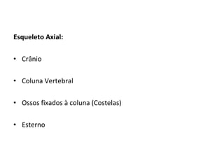 Esqueleto Axial: Crânio Coluna Vertebral Ossos fixados à coluna (Costelas) Esterno 