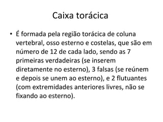 Caixa torácica  É formada pela região torácica de coluna vertebral, osso esterno e costelas, que são em número de 12 de cada lado, sendo as 7 primeiras verdadeiras (se inserem diretamente no esterno), 3 falsas (se reúnem e depois se unem ao esterno), e 2 flutuantes (com extremidades anteriores livres, não se fixando ao esterno).  