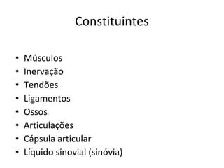 Constituintes Músculos Inervação Tendões Ligamentos Ossos Articulações Cápsula articular Líquido sinovial (sinóvia) 