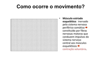 Como ocorre o movimento? Músculo estriado esquelético :  inervado pelo sistema nervoso periférico somático    constituído por fibras nervosas motoras que conduzem impulsos do sistema nervoso central aos músculos esqueléticos     contração voluntária .   