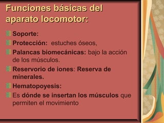 Funciones básicas delFunciones básicas del
aparato locomotor:aparato locomotor:
Soporte:
Protección: estuches óseos,
Palancas biomecánicas: bajo la acción
de los músculos.
Reservorio de iones: Reserva de
minerales.
Hematopoyesis:
Es dónde se insertan los músculos que
permiten el movimiento
 