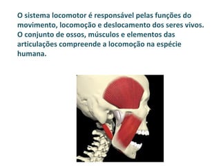 O sistema locomotor é responsável pelas funções do
movimento, locomoção e deslocamento dos seres vivos.
O conjunto de ossos, músculos e elementos das
articulações compreende a locomoção na espécie
humana.
 