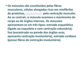 • Os músculos são constituídos pelas fibras
  musculares, células alongadas ricas em miofibrilas
  de proteínas, responsáveis pela contração muscular.
  Ao se contrair, o músculo ocasiona o movimento do
  corpo ou de órgãos internos. Os músculos
  apresentam-se em três tipos: estriado esquelético
  (ligado ao esqueleto e com contração voluntária),
  liso (encontrado na parede dos órgãos ocos,
  apresenta contração involuntária), estriado cardíaco
  (possui fibras de contração involuntária).
 
