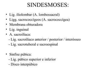 SINDESMOSES:
• Lig. iliolombar (A. lombossacral)
• Ligg. sacrococcígeos (A. sacrococcígea)
• Membrana obturadora
• Lig. inguinal
• A. sacroilíaca:
- Lig. sacroilíaco anterior / posterior / interósseo
- Lig. sacrotuberal e sacroespinal
• Sinfise púbica:
- Lig. púbico superior e inferior
- Disco interpúbico
 