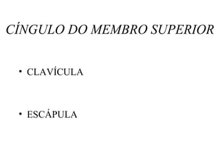 CÍNGULO DO MEMBRO SUPERIOR
• CLAVÍCULA
• ESCÁPULA
 